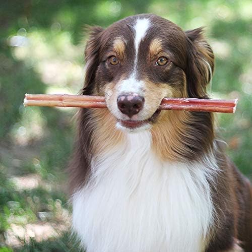 100% Natural Brazilian Bully Sticks - 1 lb Bag 10.00% Off Auto renew - click2shop
