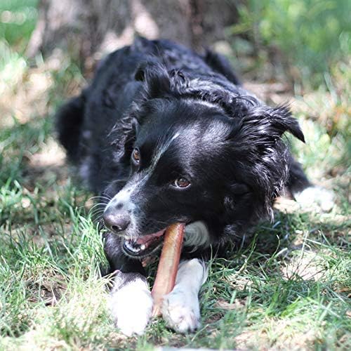 100% Natural Brazilian Bully Sticks - 1 lb Bag 10.00% Off Auto renew - click2shop