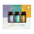 3 Pack Aromatherapy Essential oils (Lavender, Eucalyptus, Frankincense) - click2shop
