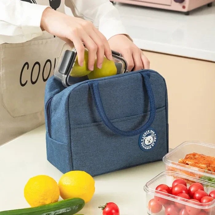 Insulated Food Storage Lunch box Bag