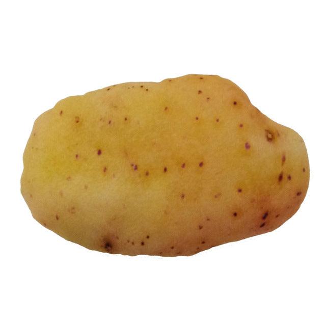 Chew Toy - Interactive Squeaky Toys for Dogs and Cats - SIZE Small, Med, Large - click2shop