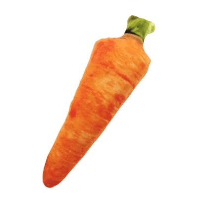 Chew Toy - Interactive Squeaky Toys for Dogs and Cats - SIZE Small, Med, Large - click2shop